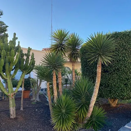 Ocean View - Heated Pool - Sunset Terrace *